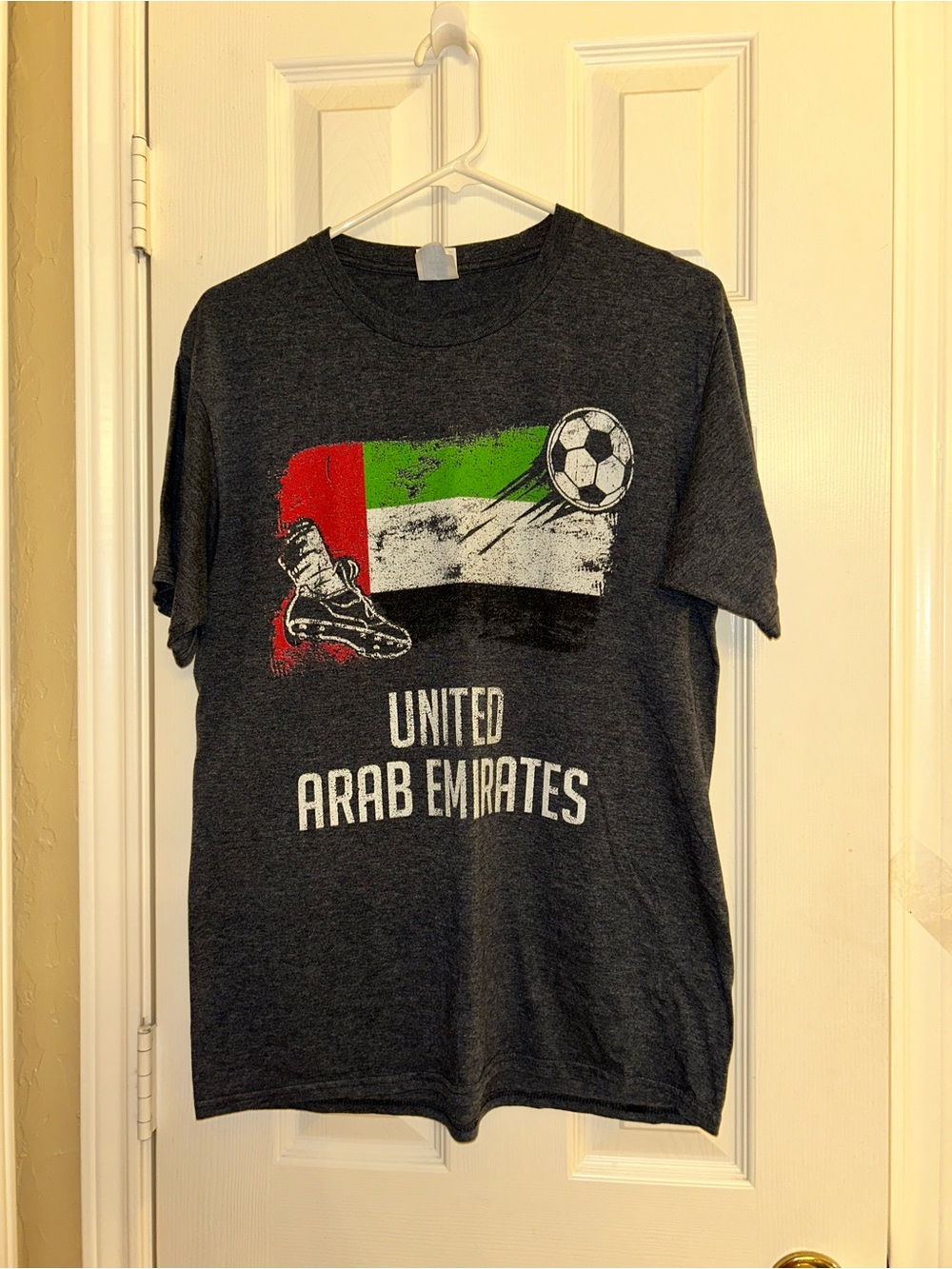 NWOT United Arab Emirates Graphic Tee - Dark Gray with Flag Colors Mens Medium
